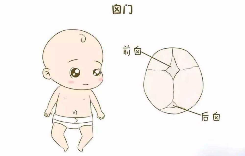 宝宝2岁了,卤门不小心被砸了,该怎么办?
