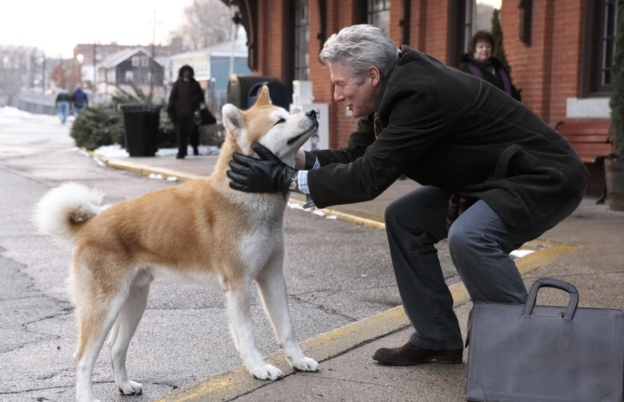 忠犬八公的故事最感人的宠物电影永远不要忘记自己爱的人