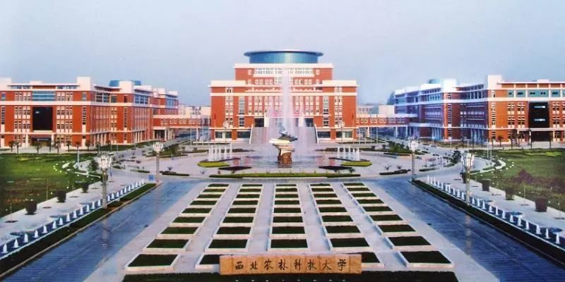 重磅！中国高校社会影响力排行榜陕西省7所高校入选，快看有你的母校吗？