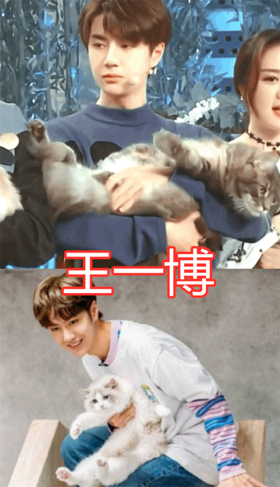 王一博:我抱猫姿势最暖,郭丞:跟谁俩呢?网友:看看隔壁肖战吧
