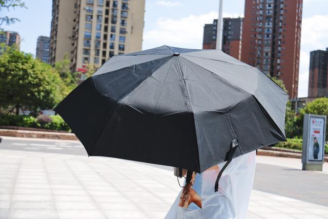 雨中伞道怎么搭_雨中的伞图片