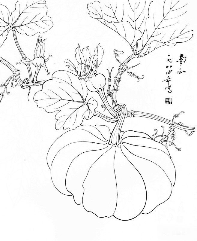 书画联盟丨蔬菜水果白描稿