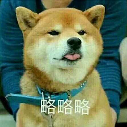 拿去皮,柴犬表情包超可爱!