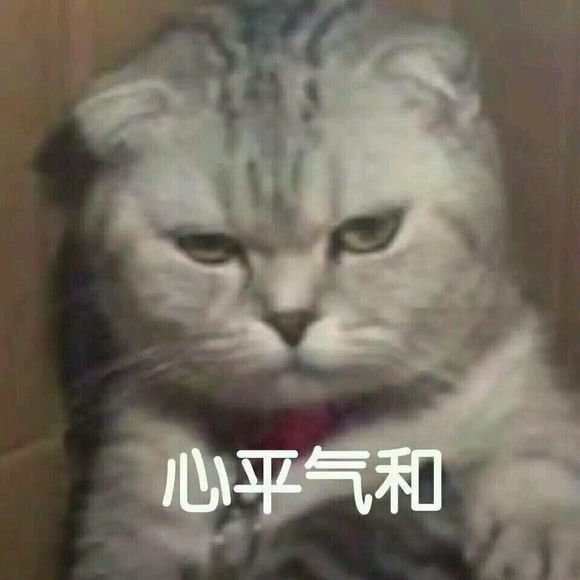 可爱猫咪搞笑表情包:对不起,我心死了!