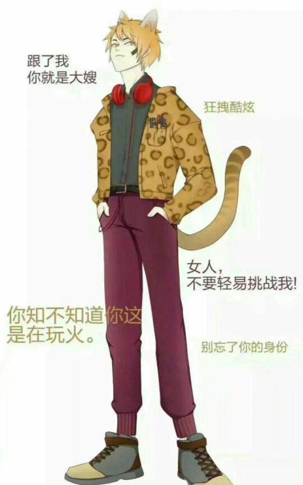 猫咪男友,你最喜欢哪一个品种?