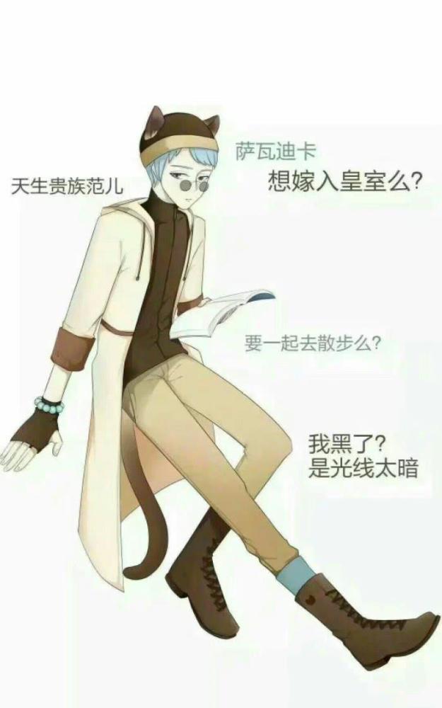 猫咪男友,你最喜欢哪一个品种?