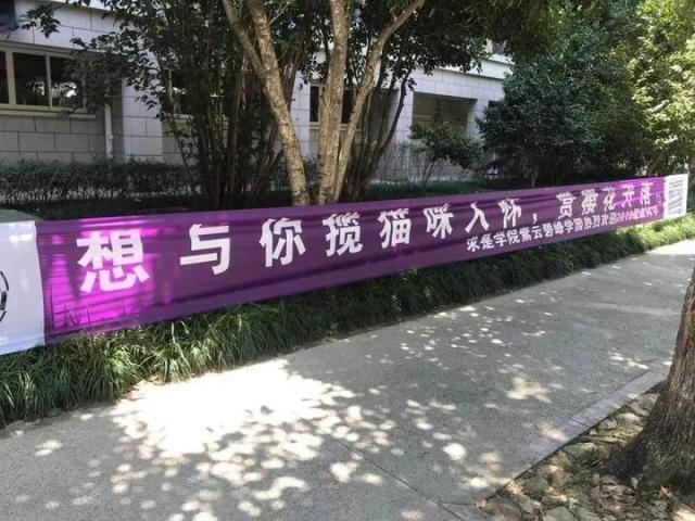 浙大新生开学,迎新标语"很皮",句句都很精彩,网友:太