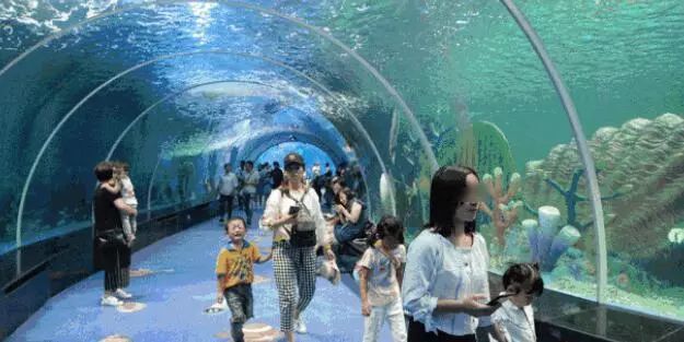 周期一年!邢台海洋馆将开建