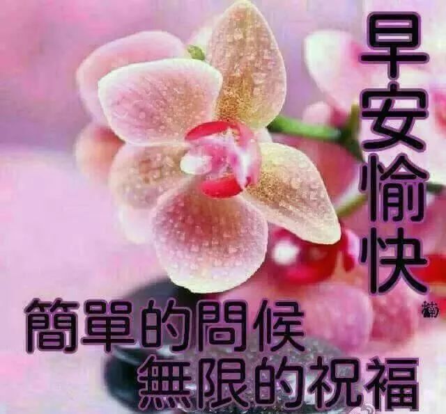 周三早安祝福语短信 早上好问候图片带字带祝福语