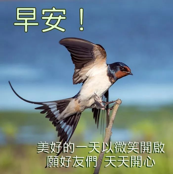最新早上好问候祝福语短信,最美早安问候表情图片带字
