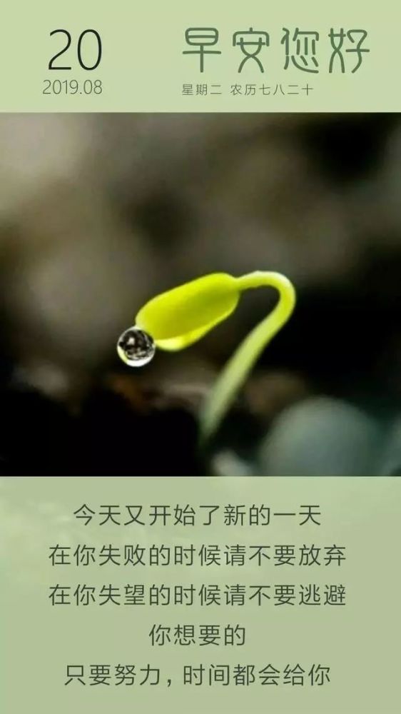 8月20日早安日签图片带字 周二正能量励志加字图片