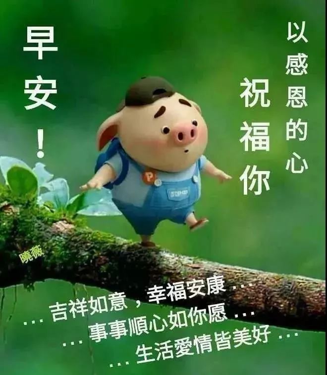 周二早上好祝福语图片 早上表情祝福大全