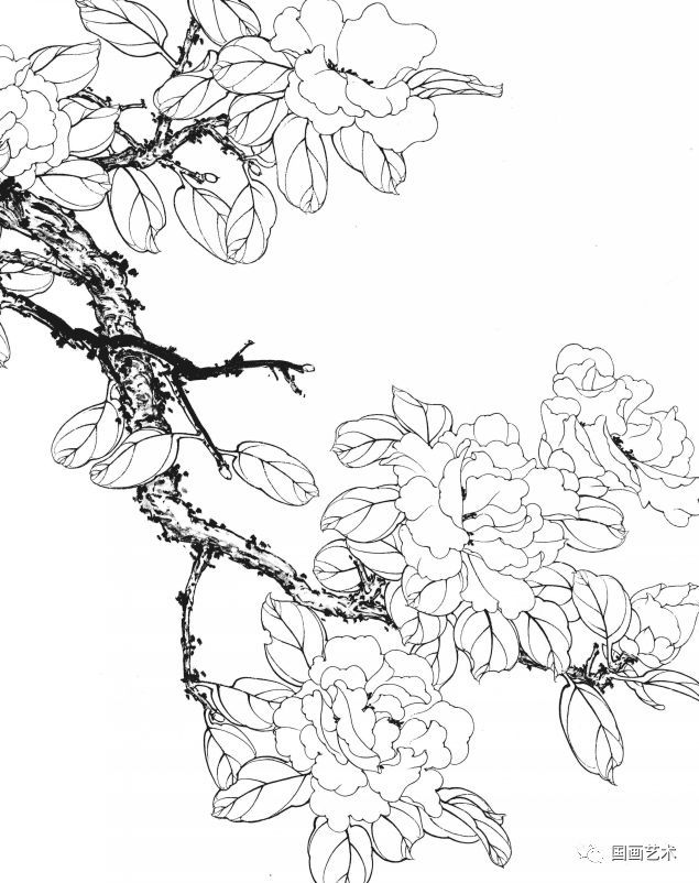 资料分享:一组漂亮的工笔白描花鸟