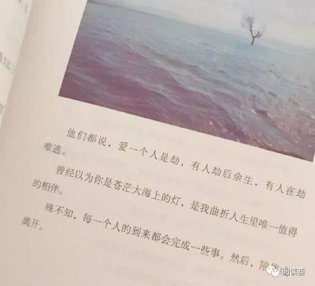 网易云热评:句句扎心,现实而不矫情