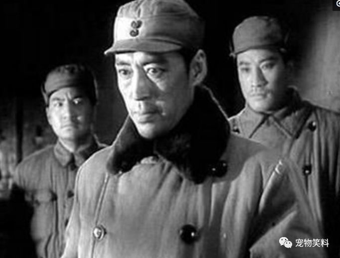 上海解放后张伐加入上海电影制片厂,成为新中国第一代电影演员.