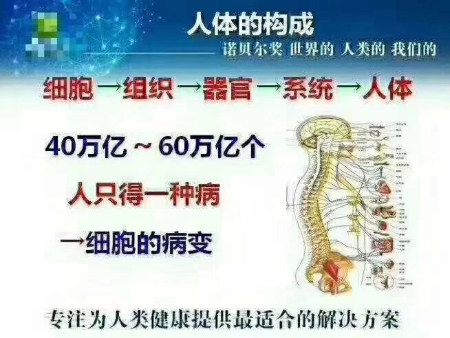 细胞健康人体就健康