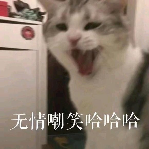 可爱猫咪搞笑表情包:无情嘲笑,哈哈哈哈!