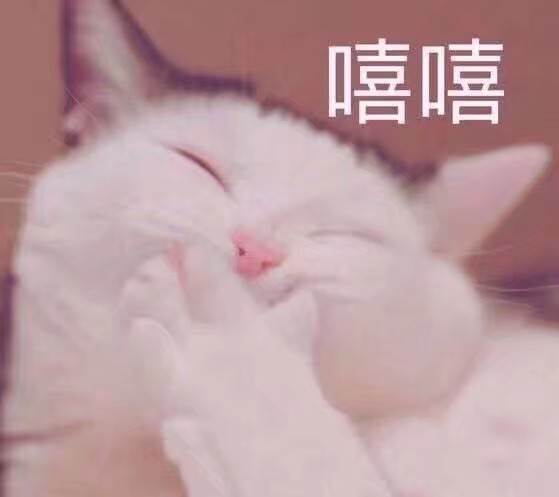 可爱猫咪搞笑表情包:无情嘲笑,哈哈哈哈!