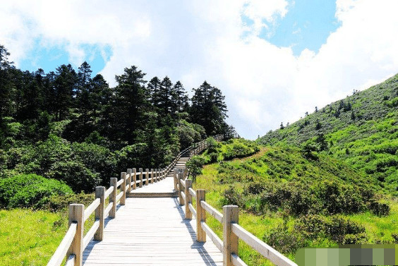 甘肃小众景点,被称为"小九寨"的陇南官鹅沟旅游攻略篇!