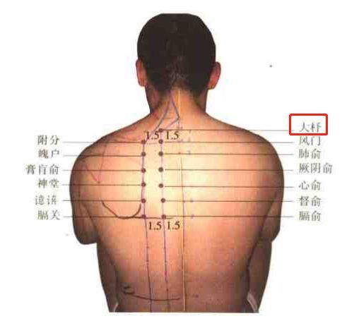 心痛心悸,心律不齐:针法直刺,使穴下有酸胀感.因情志变化引起的病症.