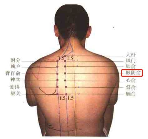 74个穴位特色疗法文字图解