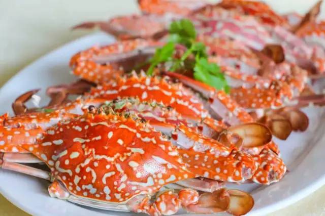 在湛江,你可以看到s/m/l/xl……的花蟹,而实现海鲜自由的湛江人只吃m