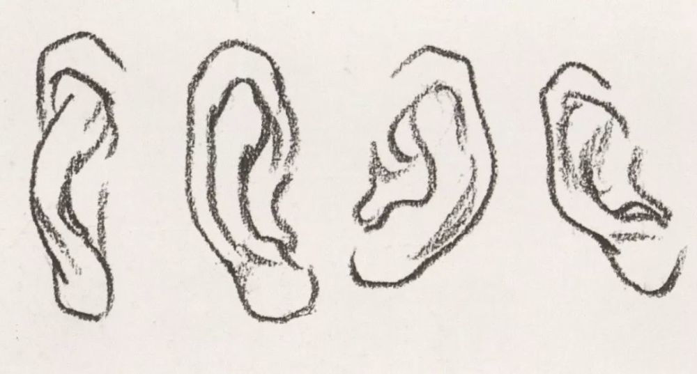 超强干货丨速写五官局部之耳朵的画法