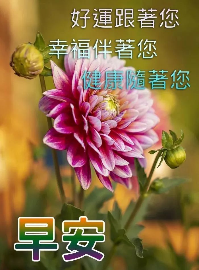 早上好愿你顺心喜悦开心迎接每一天