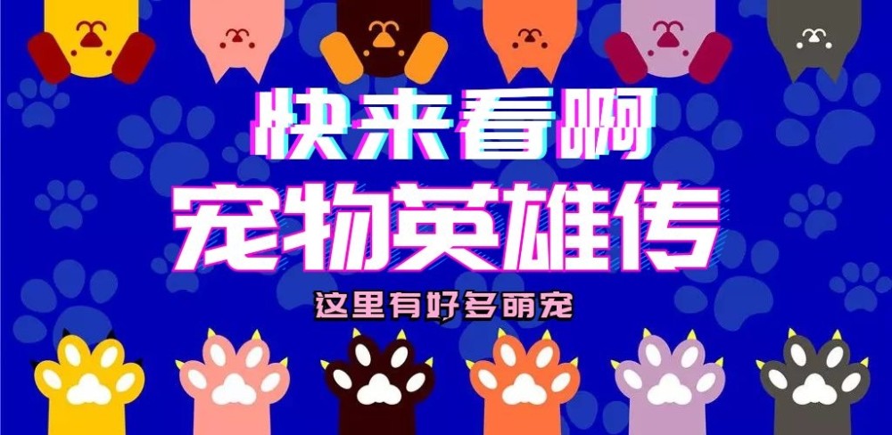 铲屎官的疏忽，却让小猫病情无法挽回，只能一辈子忍受疼痛