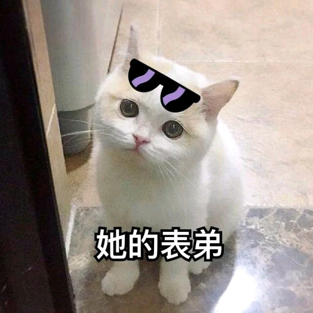 猫咪表情包我超甜