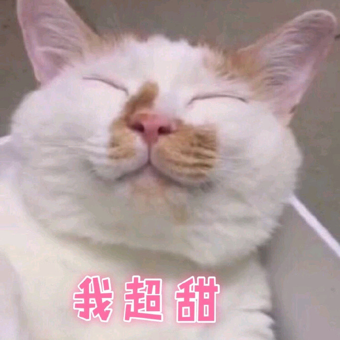 猫咪表情包我超甜