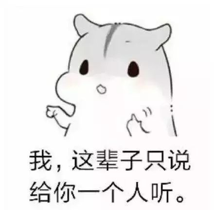 仓鼠撩妹套路表情包:我有一句话,这辈子只说一次
