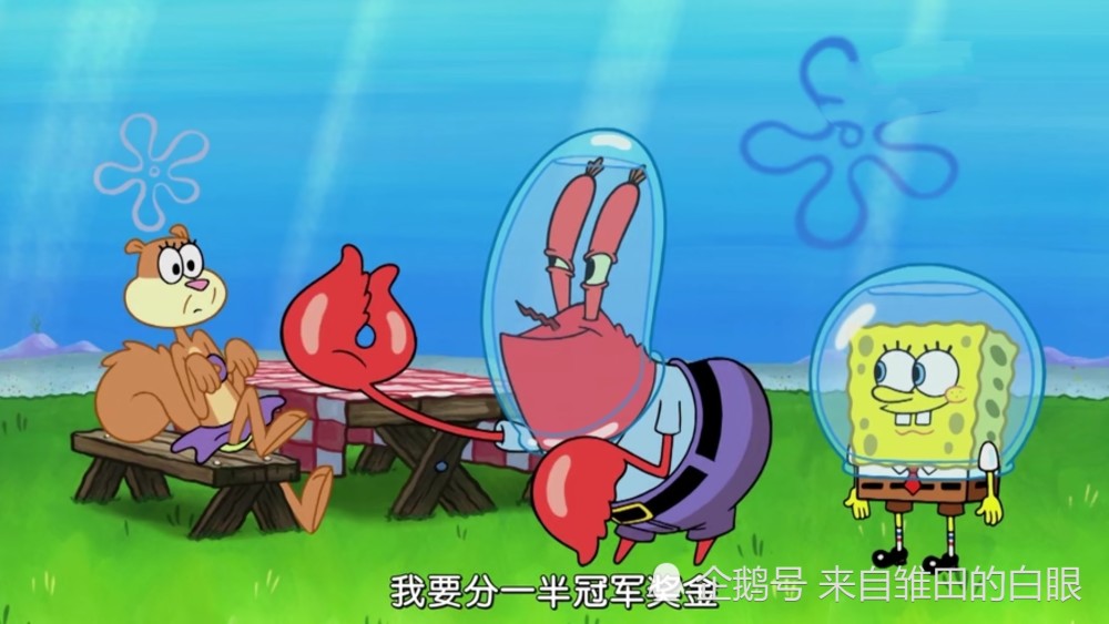 海绵宝宝:蟹老板偷了珊迪的家还砍了她的树!可是他俩