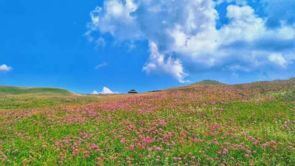 图源:橄榄哥 毕节赫章县的韭菜坪有多美?