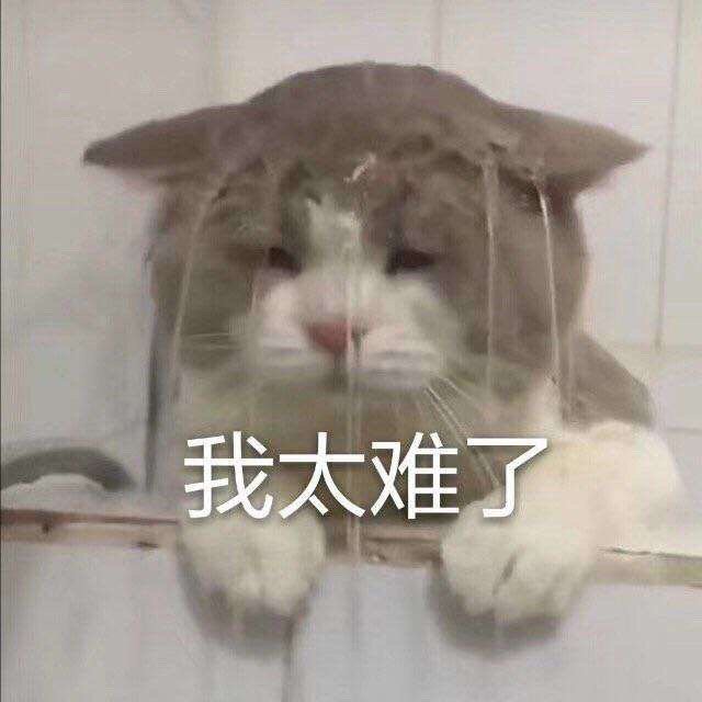 搞笑表情包:我太难了