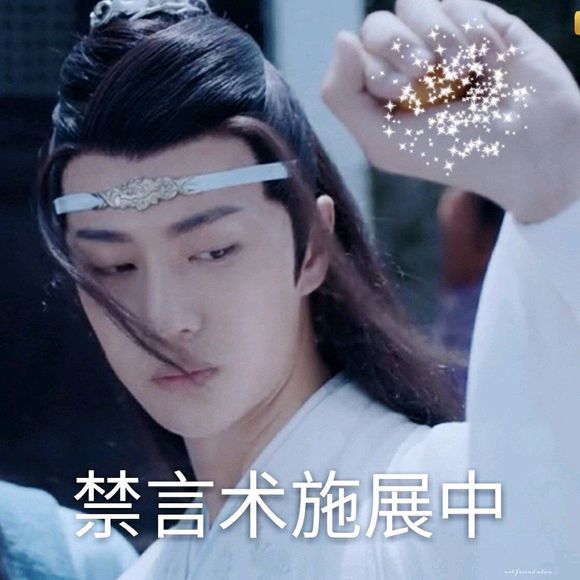 《陈情令》搞笑表情包:蓝忘机在施展禁言术中,羡羡有