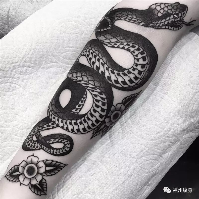 十二生肖-蛇纹身图案