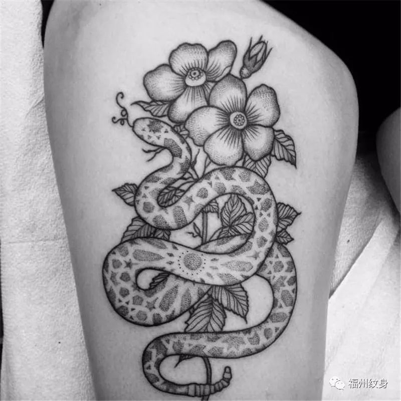 十二生肖-蛇纹身图案
