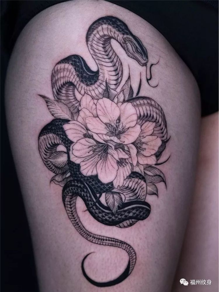 十二生肖-蛇纹身图案