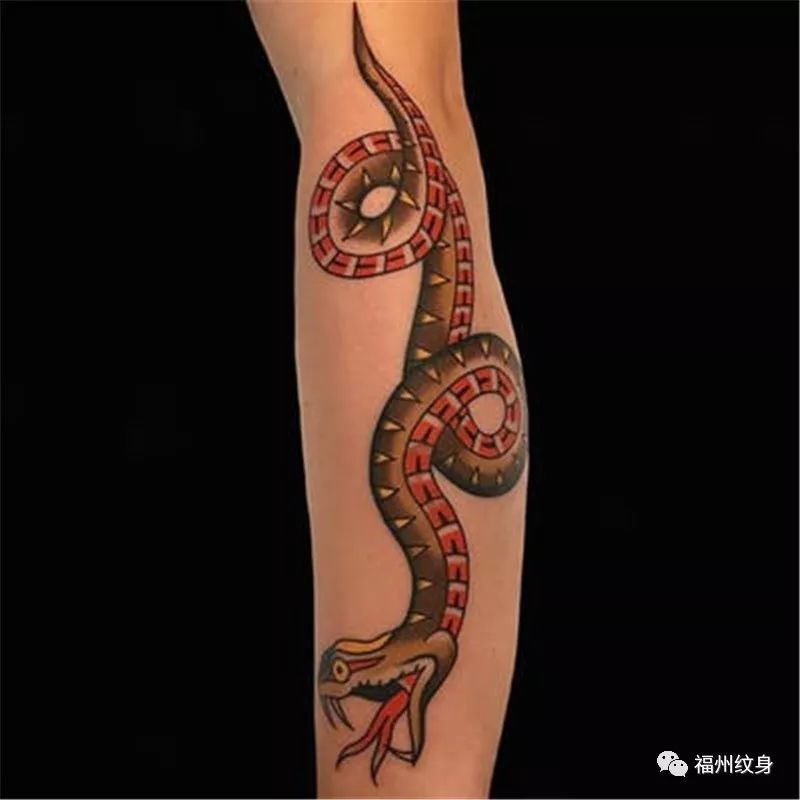十二生肖-蛇纹身图案