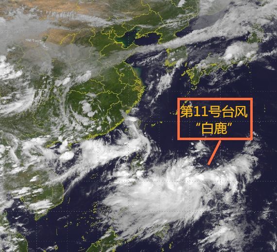 公共服务:台风"白鹿"将正面袭击广东!广西受影响有雨