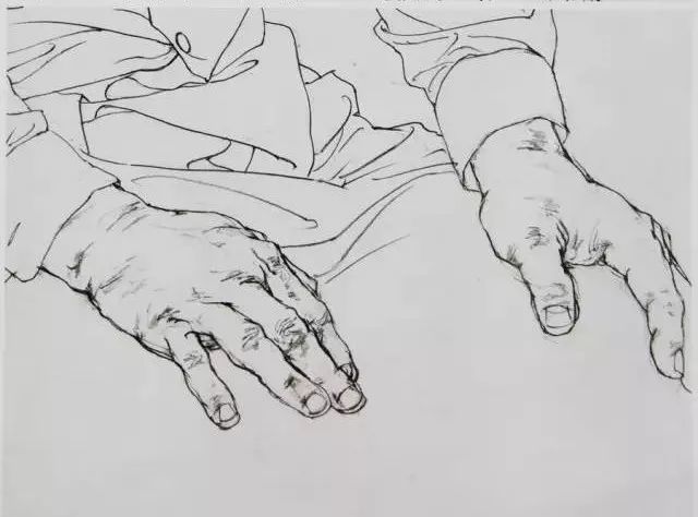 国美与央美教授的线性素描作品