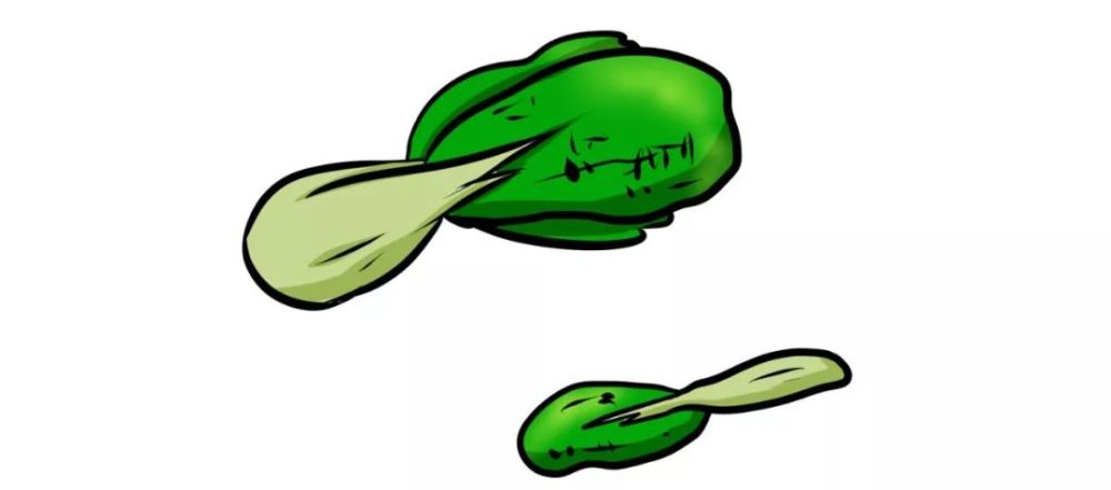 厨余垃圾