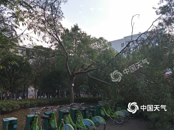 今后三天湖南继续遭遇高温烤验 局地雷雨相伴