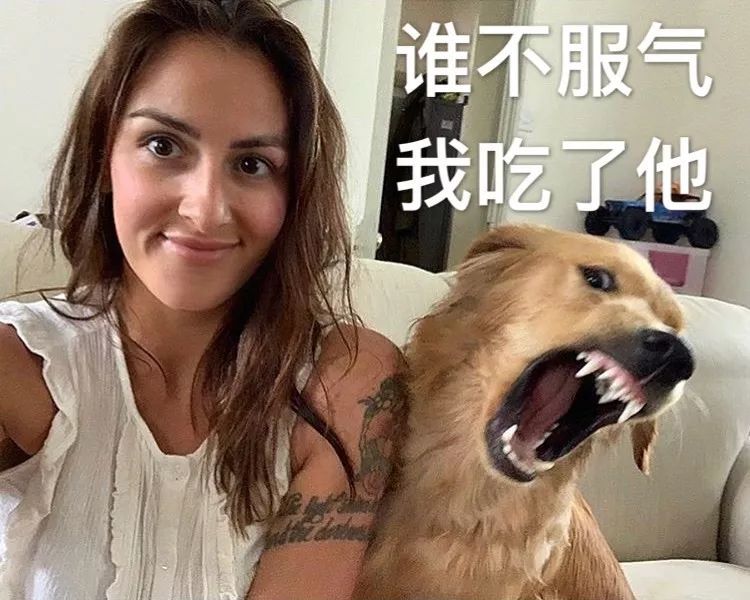 小姐姐:凭啥你这么双标 大金毛:凭我长得可爱!