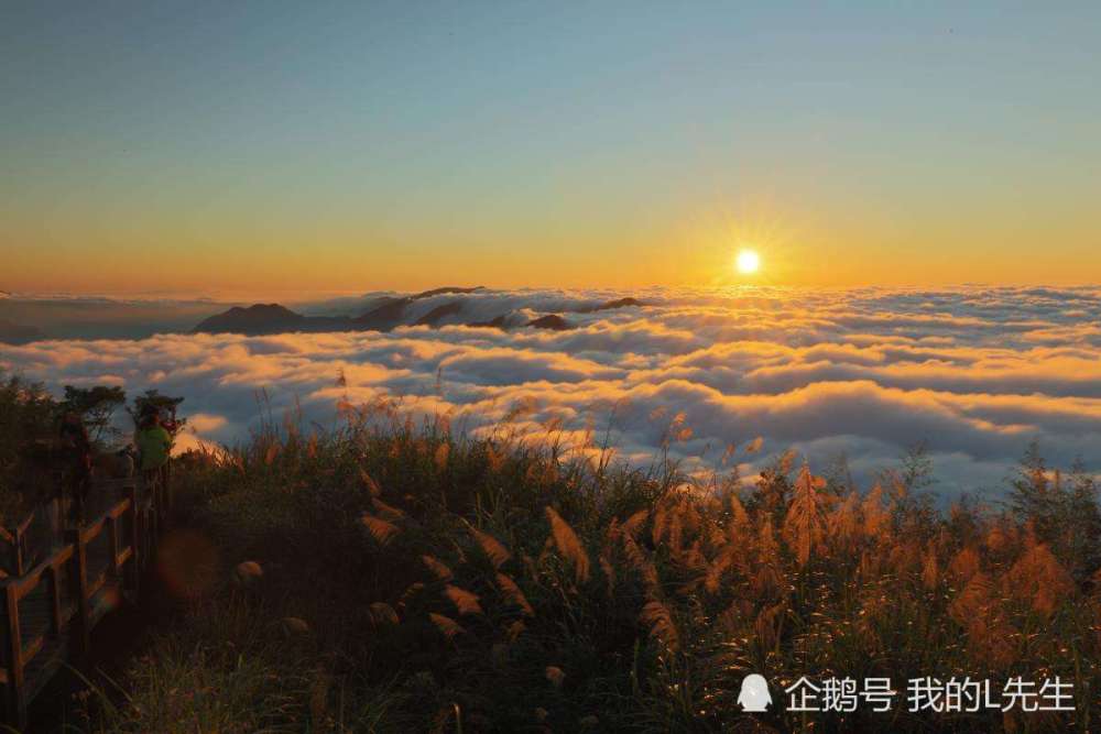 阿里山下的传说