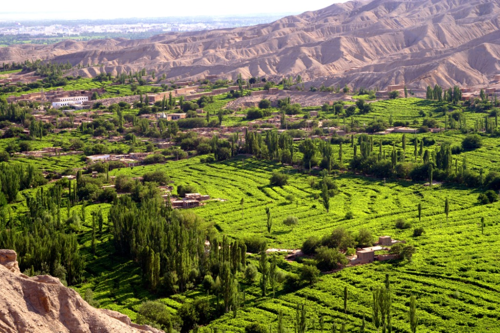 在吐鲁番市,葡萄沟是必去的景点,是国家5a级景区,被誉为火州的"桃花