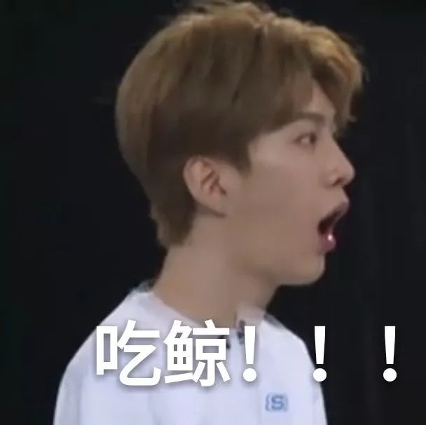 范丞丞搞笑表情包:表情包界的大将福西西,别有一番