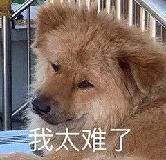 表情包| 我太难了