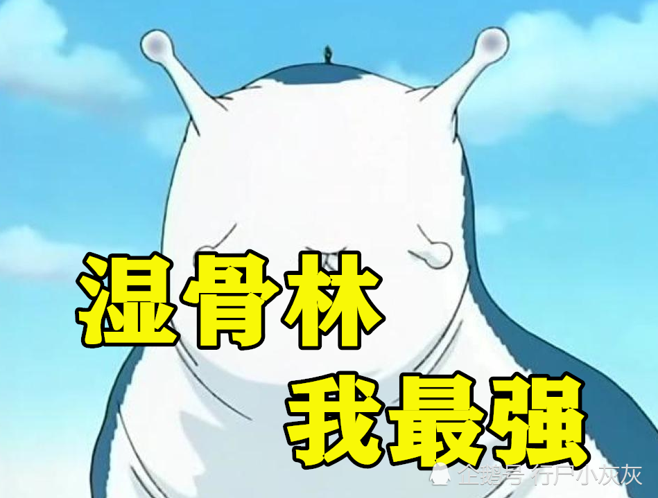 龙地洞辛牙最强,湿骨林蛞蝓仙最强,妙木山最强,羽衣也